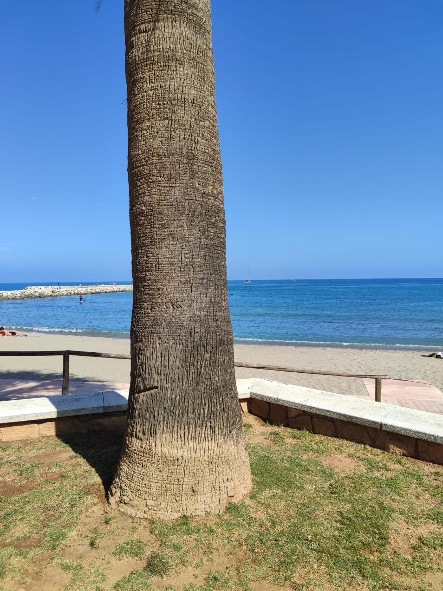 Fuengirola Reyes Beach מראה חיצוני תמונה